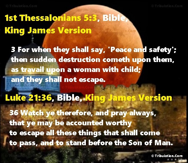 Bible Prophecy Scriptures