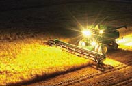 Harvesting at Night - Much more difficult than Daytime